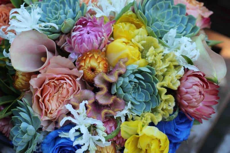 5 Beautiful Succulent Bouquets 9 5 Beautiful Succulent Bouquets