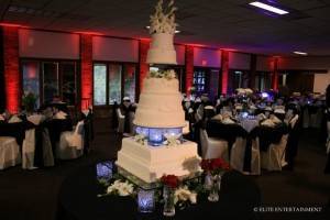5 Huge, Beautiful Wedding Cakes