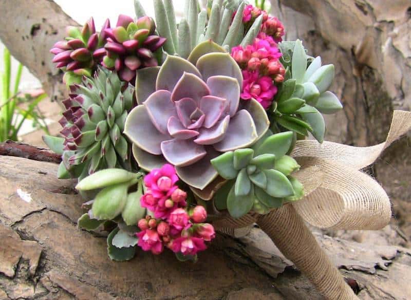5 Beautiful Succulent Bouquets