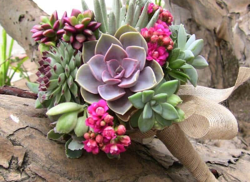 5 Beautiful Succulent Bouquets 6 5 Beautiful Succulent Bouquets