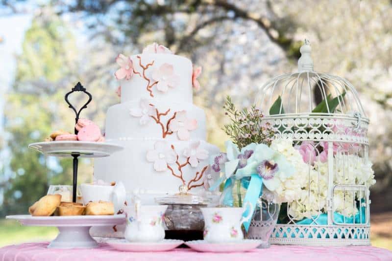 Gill_Mau_LEstelle_Photography_lestellevancouvercherryblossomsweddingengagement73_low
