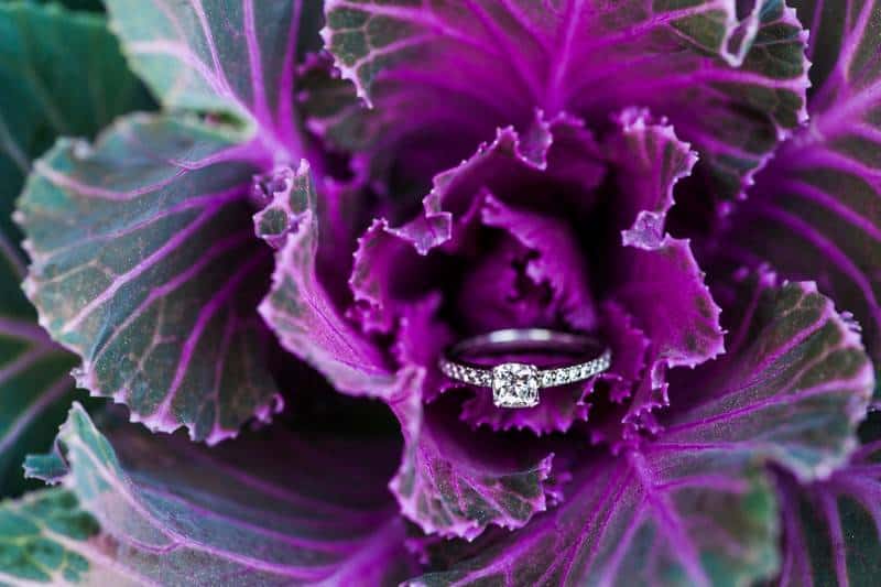 Jobson_Mussan_Alyona_Photography_EmilyNeilEngagement140_low