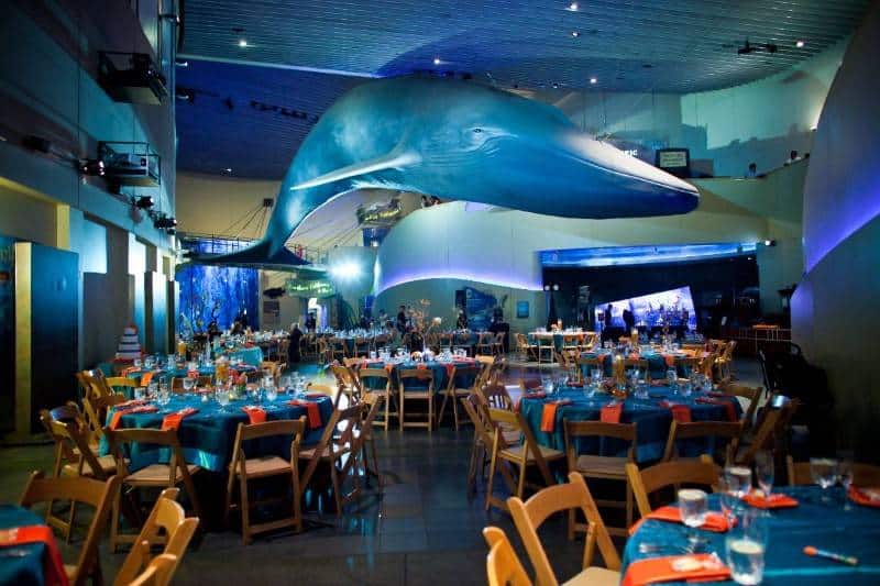 Uncommon Wedding Reception Venue Ideas
