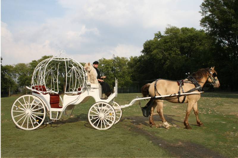 Fun Ideas for Disney-Themed Weddings 9 http://www.uptowncarriages.com