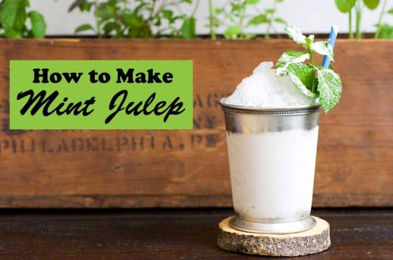 mint_julep