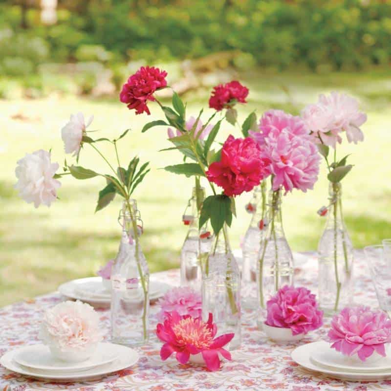 peonies-table-md107581_sq