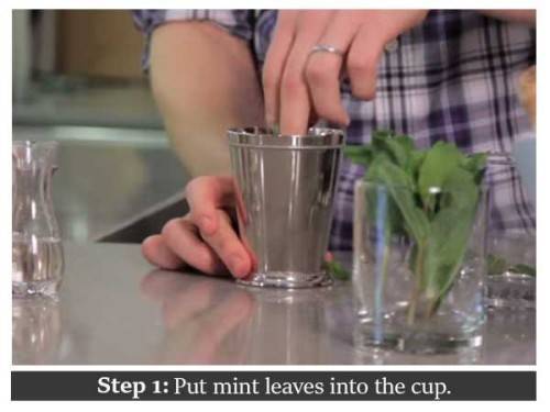 diy mint julep