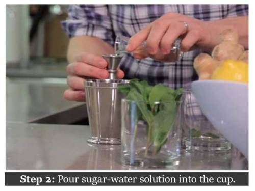 diy mint julep