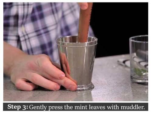 diy mint julep