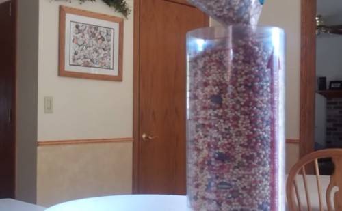 diy wedding birdseed ornament