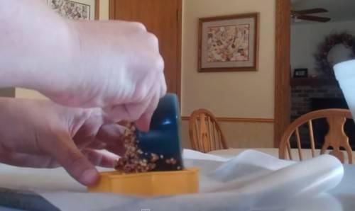 diy wedding birdseed ornament