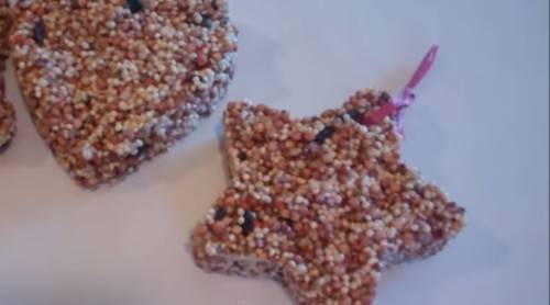 diy wedding birdseed ornament