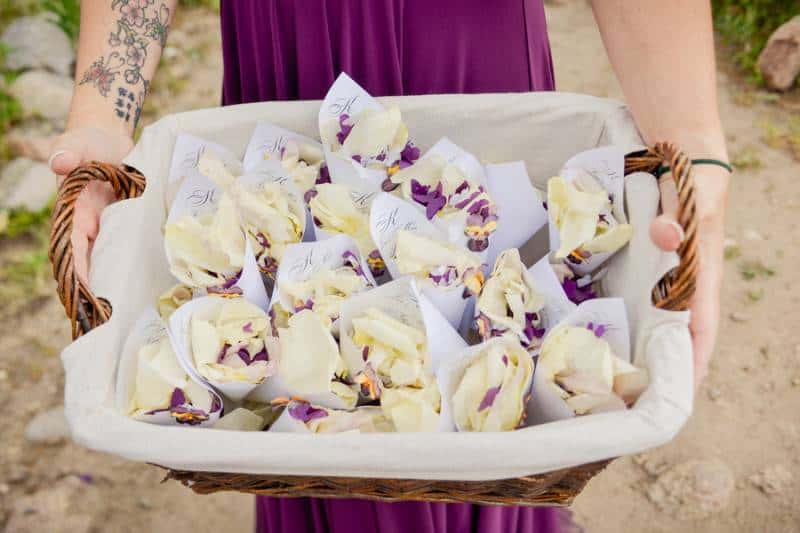 Purple Butterflies