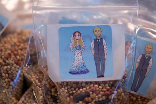 Something Borrowed, Something Blue