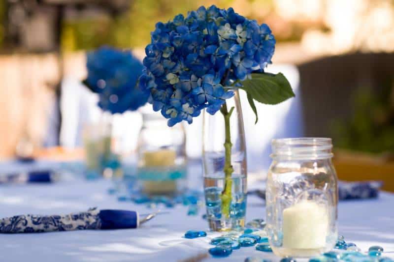 Something Borrowed, Something Blue