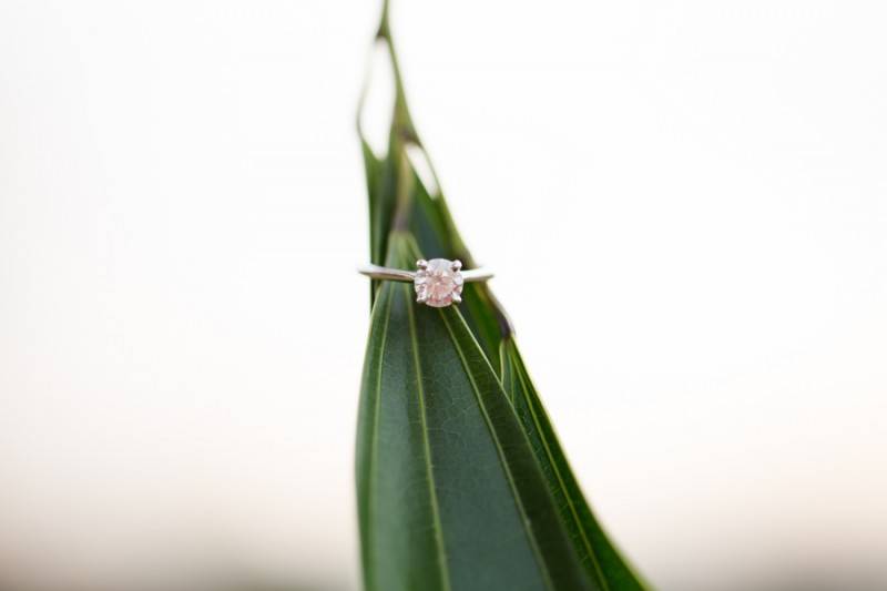 A Southern Belle and A Southern Bride 67