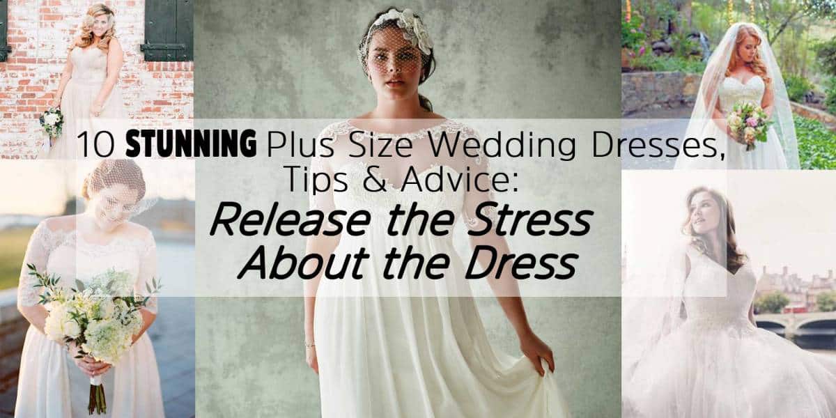 stunning plus size dresses