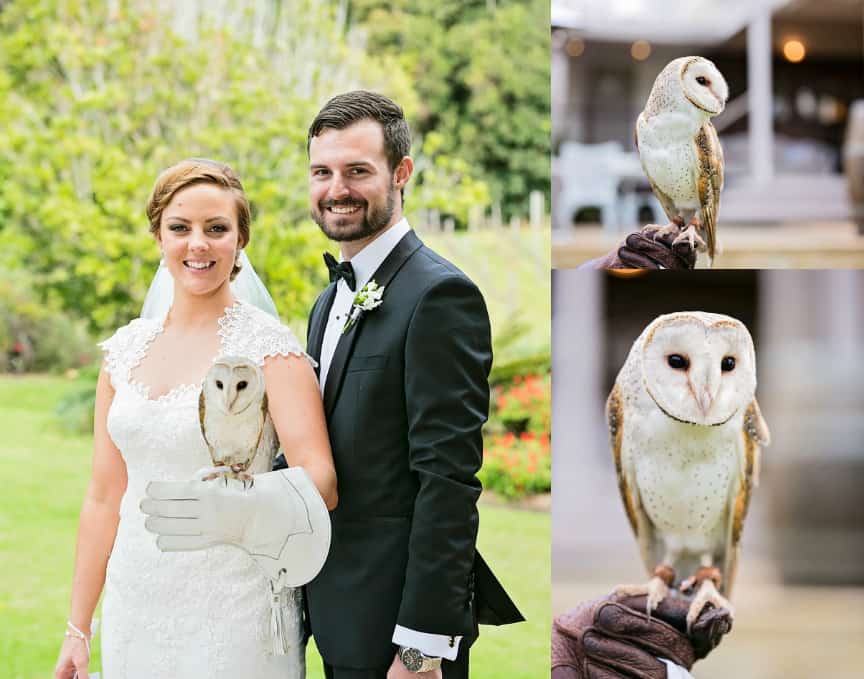 Dreamy Hinterland Wedding 89