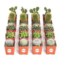 24 Stylish And Budget Friendly Wedding Party Favor Ideas 79