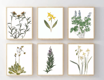 24 Stylish And Budget Friendly Wedding Party Favor Ideas 71