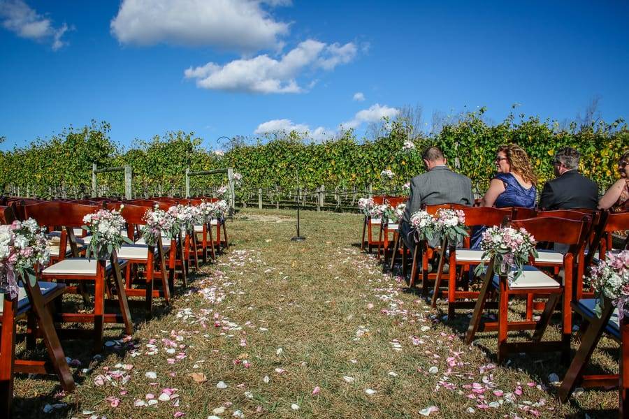 Contemporary Vineyard Wedding