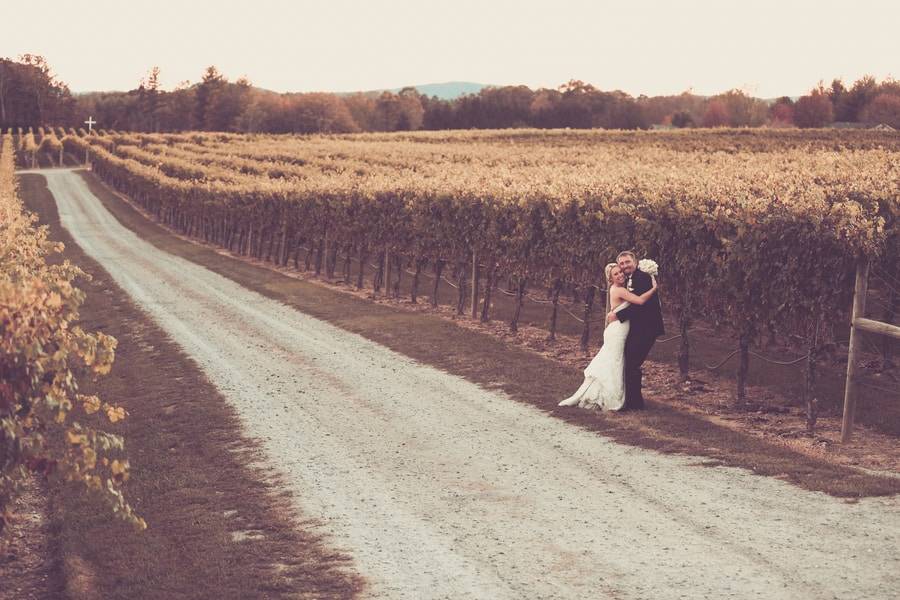 Contemporary Vineyard Wedding