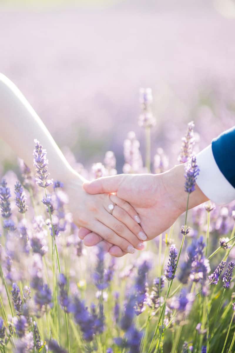 Intimate Wedding Ceremony In The Lavender Fields 359