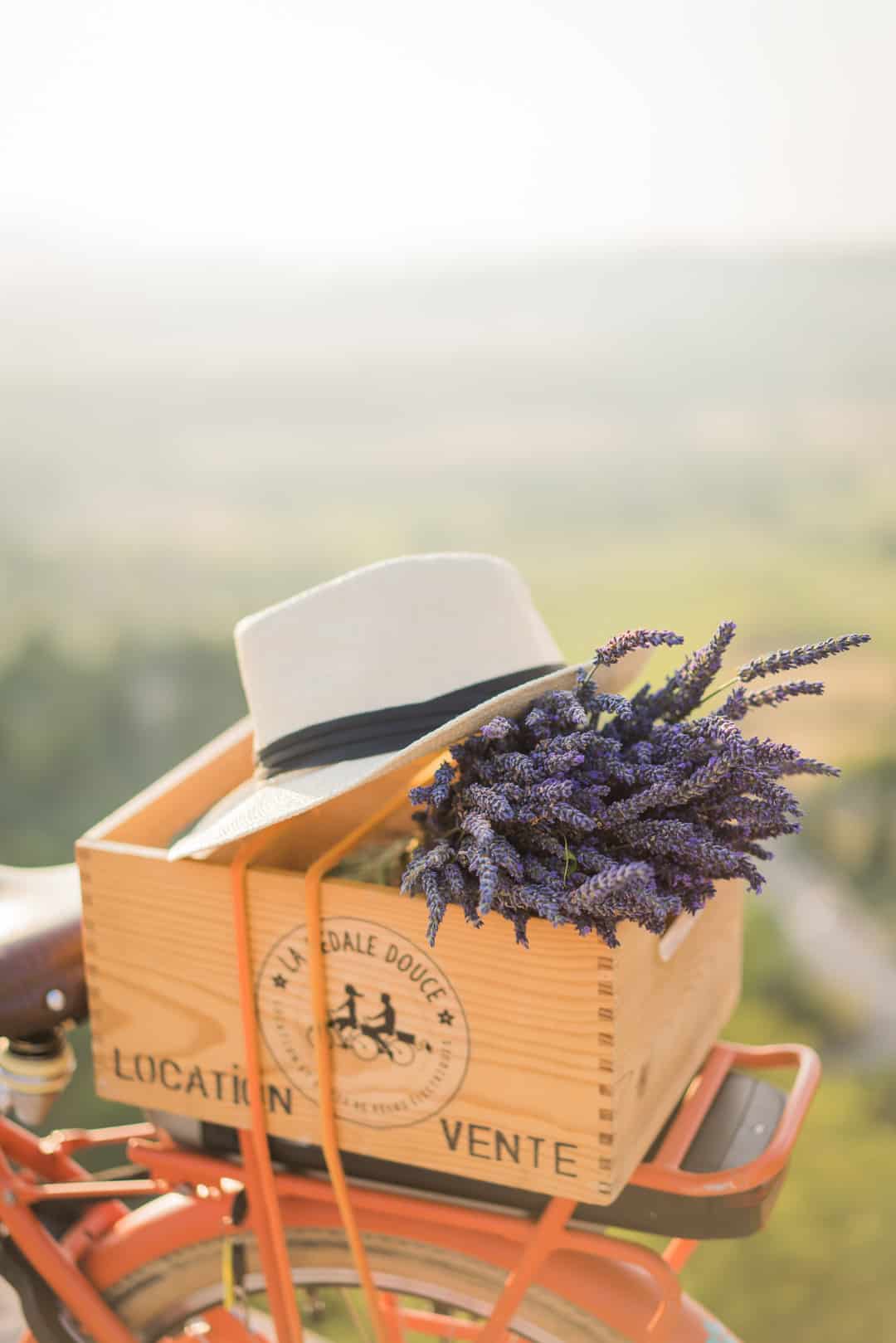 Intimate Wedding Ceremony In The Lavender Fields 387