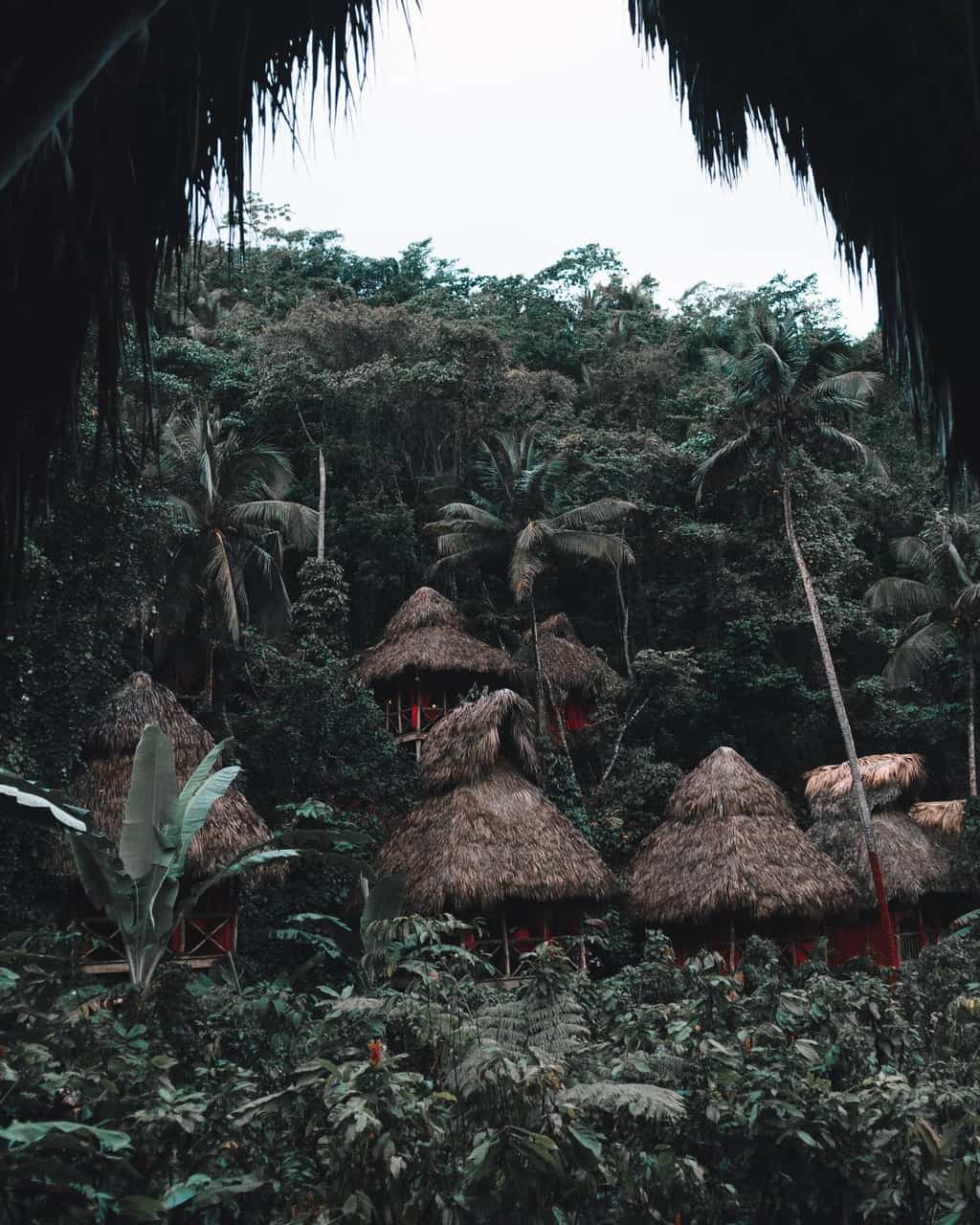 Brown Nipa Huts Near Trees