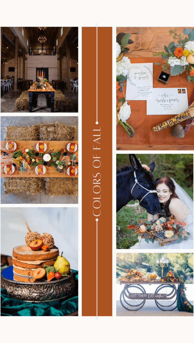 November Round-up: The Month of Subdued Colors 7