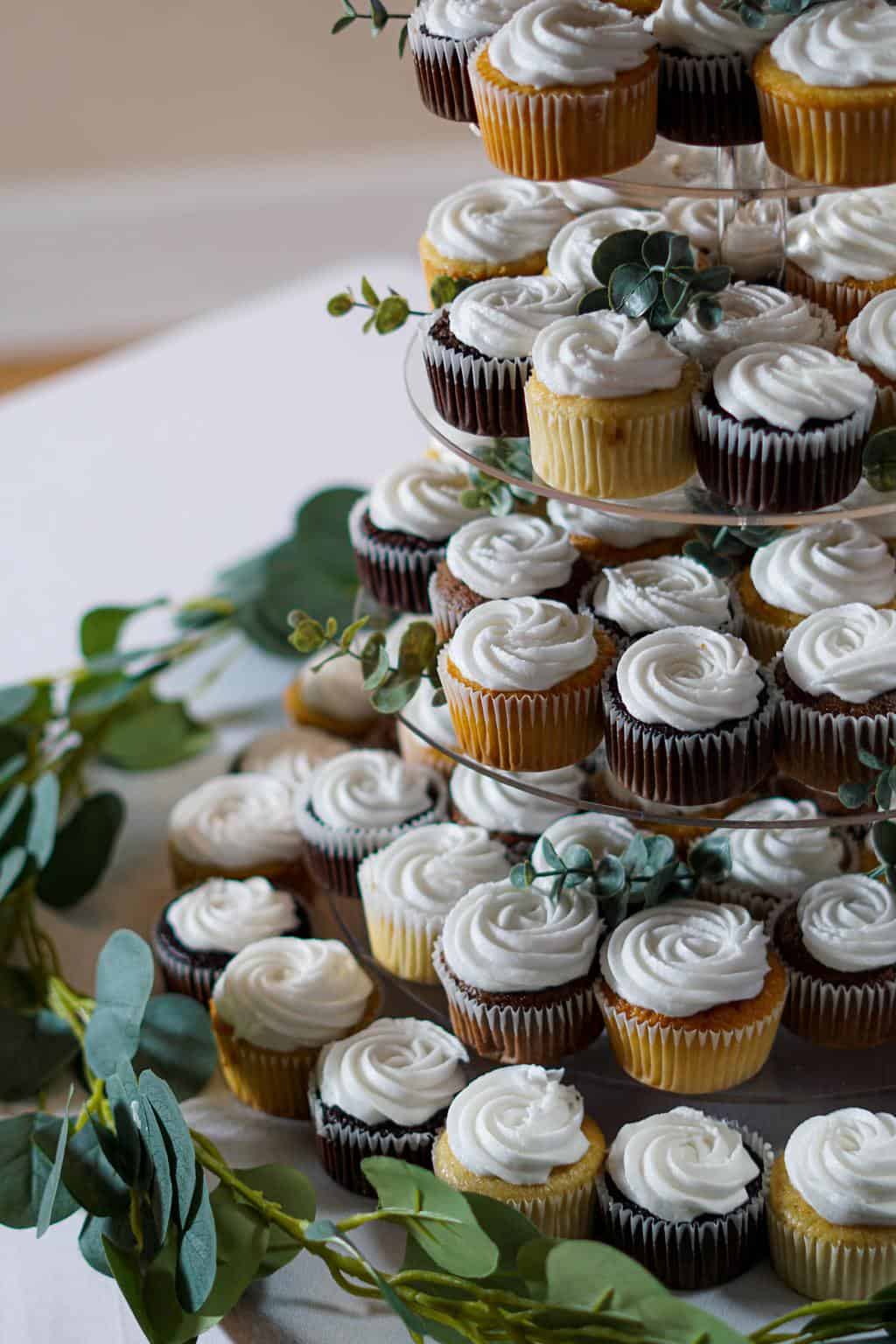 cupcakes on white ceramic plate