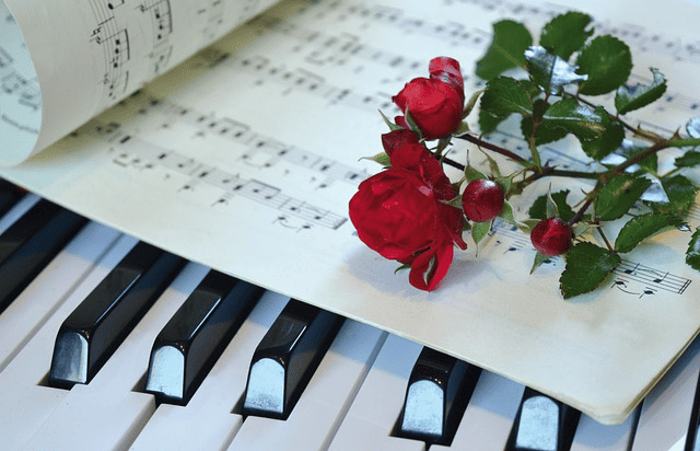 piano, red roses, birthday song