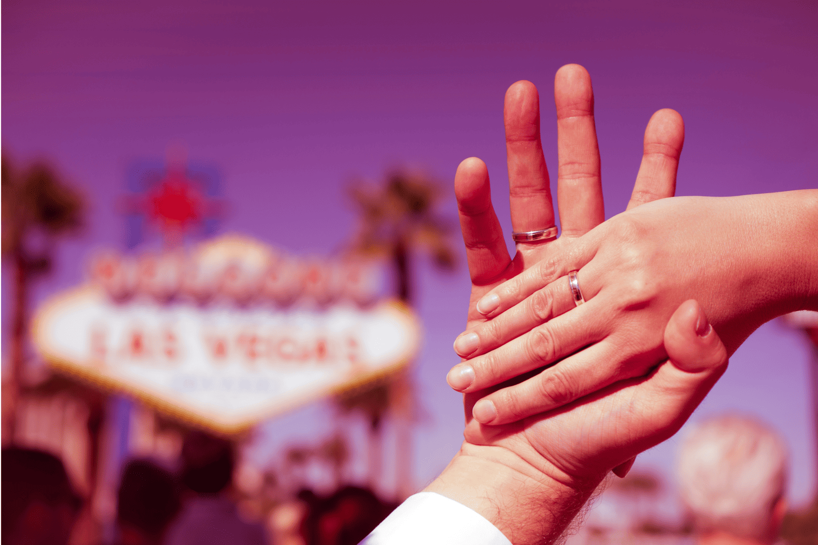 Skip Debt & Elope to Vegas for Under $500 (Detailed Pricing) 57