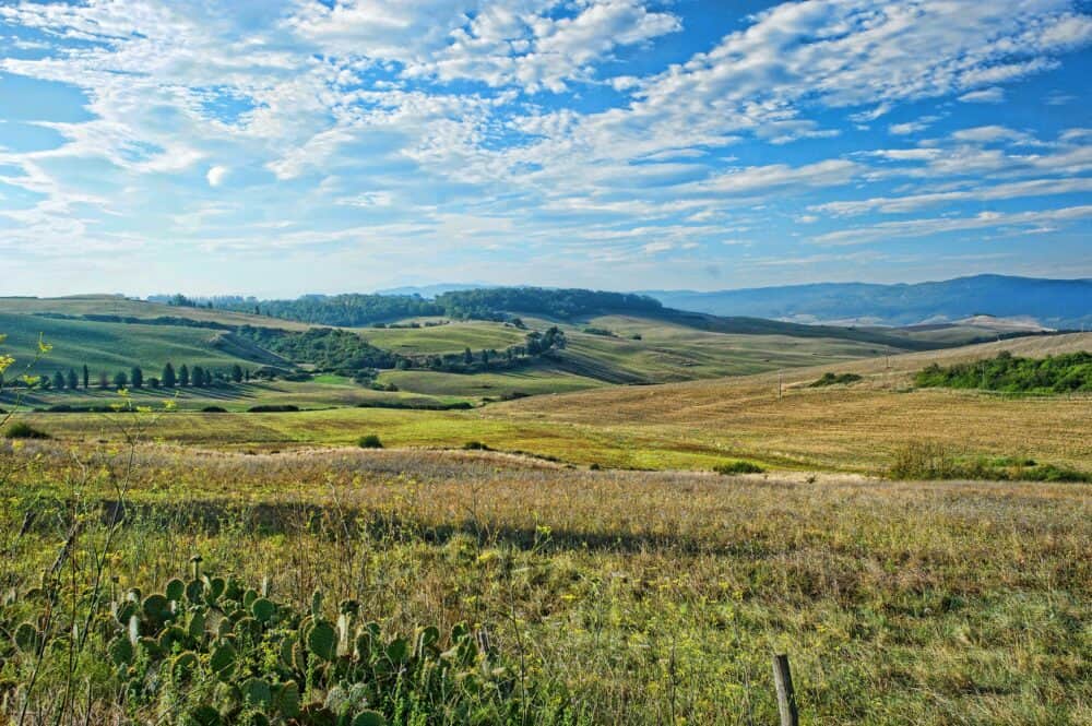 Choosing a Small Wedding Destination - What Makes a Venue “Small”? 7 A wide open field with rolling hills in the distance