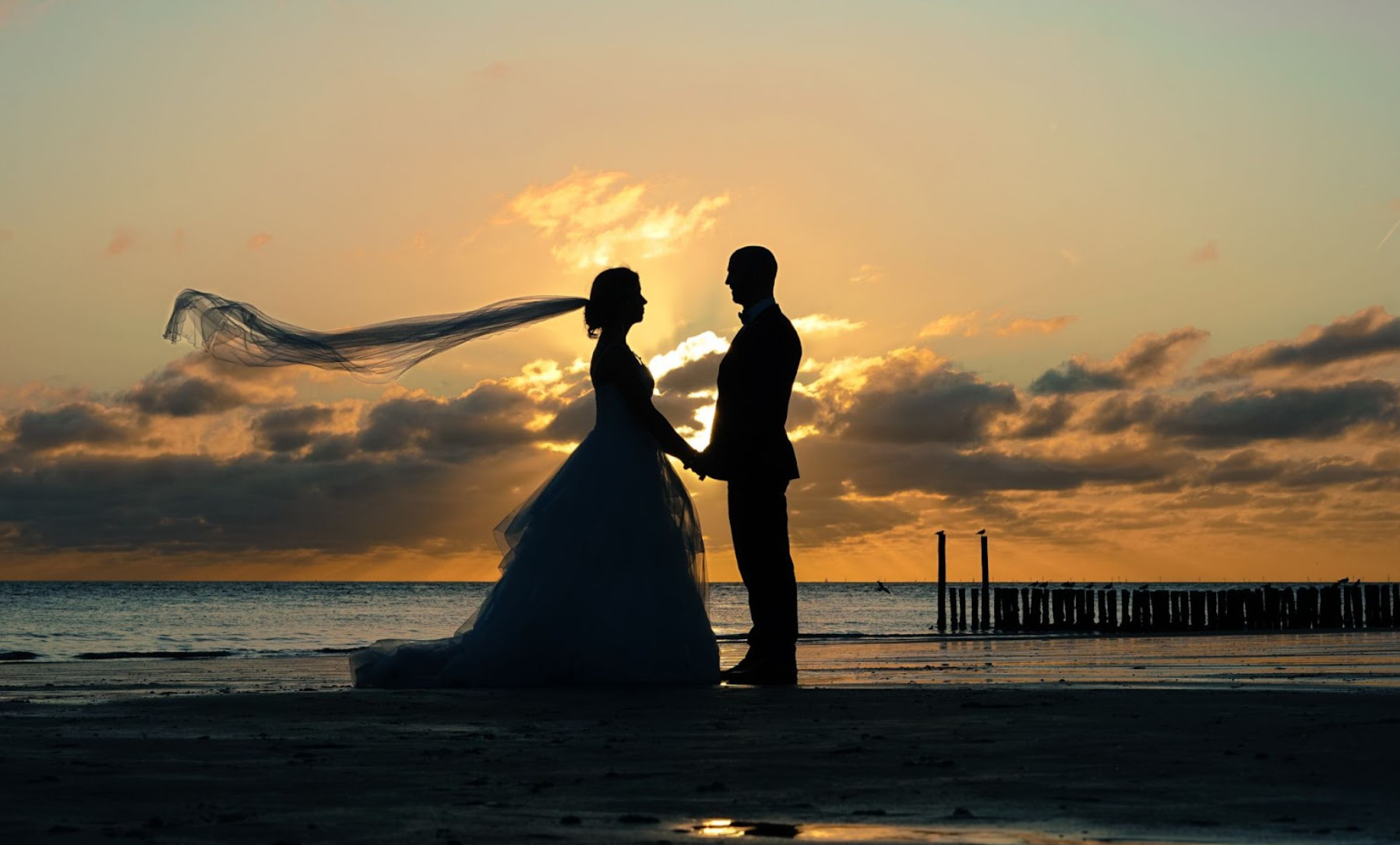 5 Stunning Sarasota Wedding Photo Spots You’re Probably Overlooking