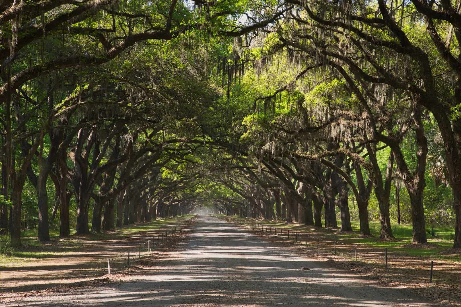 Destination Weddings: US Destinations Worth Saying “I Do” In 6 Destination Weddings: US Destinations Worth Saying “I Do” In 5