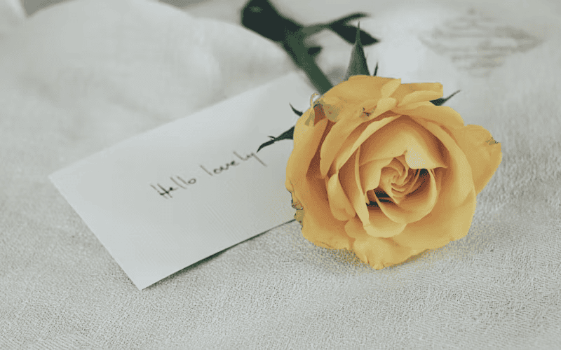 Beautiful Love Poems for the Bride’s Big Day 13