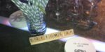 Bar at Wedding